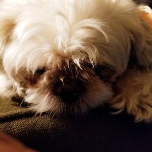 Meet your Posher, Pamela